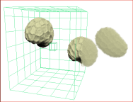 Opacity applied to ROI clip