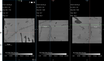2D scene views